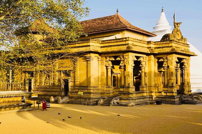 Private Night Tour in Colombo With Street Food Tasting - Meeting and Pickup Arrangements