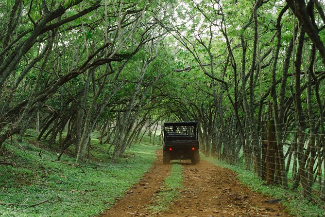 Private Off Road Explorers Tour Review - Experience Highlights