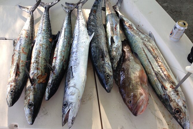 Private Offshore Fishing Charter Review - Pricing and Cancellation Policy
