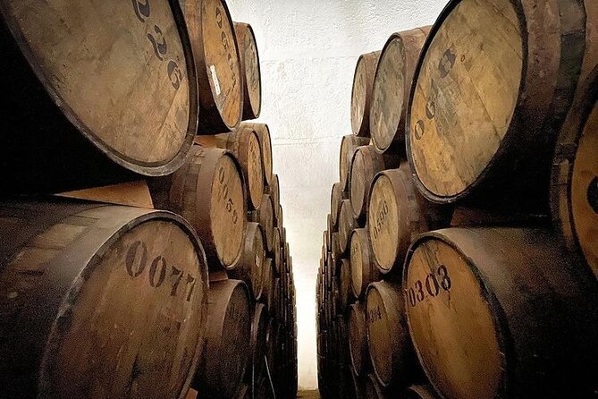 Private One Day Adventure Tour in Tequila and La Fortaleza Distillery - Distillery Experiences