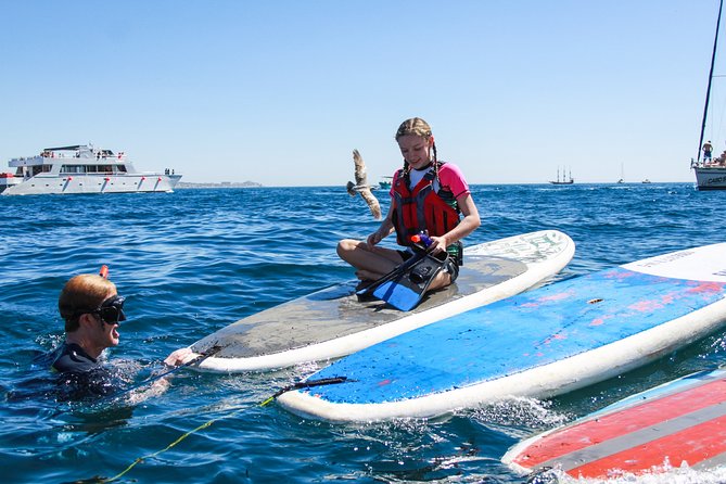 Private Paddleboard and Snorkel at the Arch - Booking Process