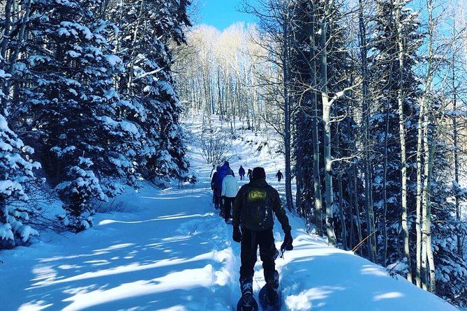 Private Park City Snowshoe Excursions (9:30am/12:30pm Start Time) - Reviews and Ratings