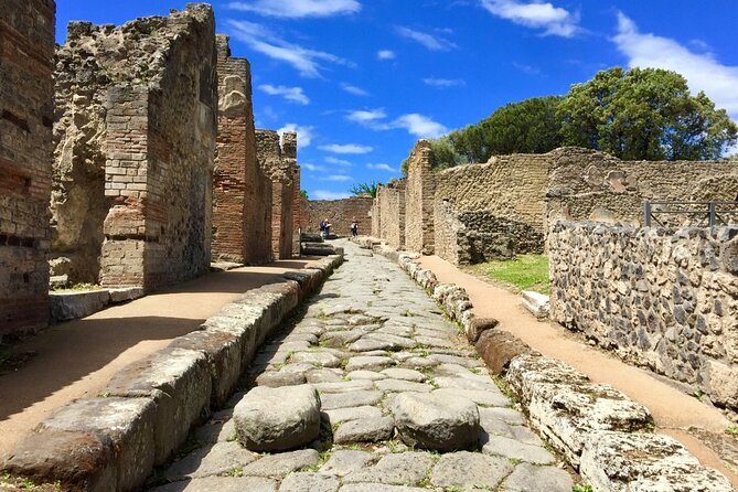 Private Pompeii Tour From Sorrento With Pick up and Drop off - Pricing and Inclusions