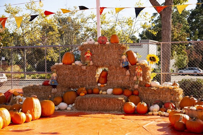 Private Santa Clara Halloween Family Fun Tour - Pricing and Booking Details