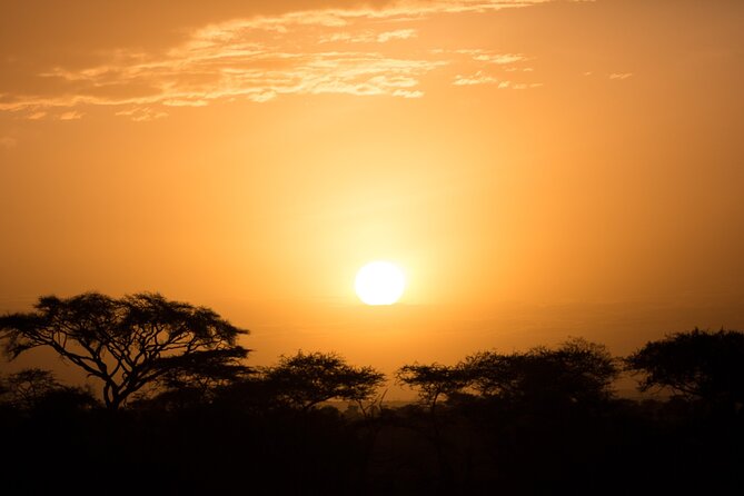 Private Serengeti Safari, Ngoro Crater & Tarangire National Park - Inclusions and Amenities