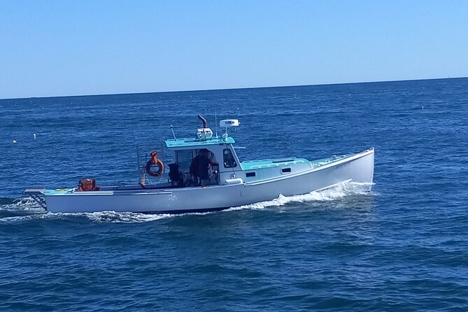 Private Sightseeing Charter in Frenchman Bay Review - Guest Reviews and Ratings
