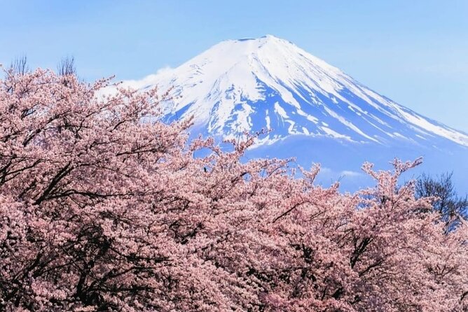 Private Sightseeing Full Day to Mt Fuji and Hakone - Pickup and Timing