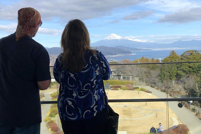Private Sightseeing Tour From Shimizu Port / Sedan Taxi - Tour Inclusions