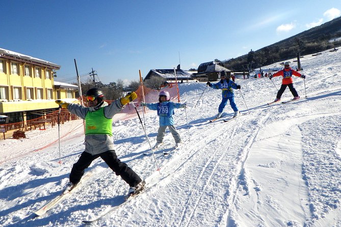 Private Ski Lesson for Family or Group(Transport Included ) - Meeting and Pickup Details