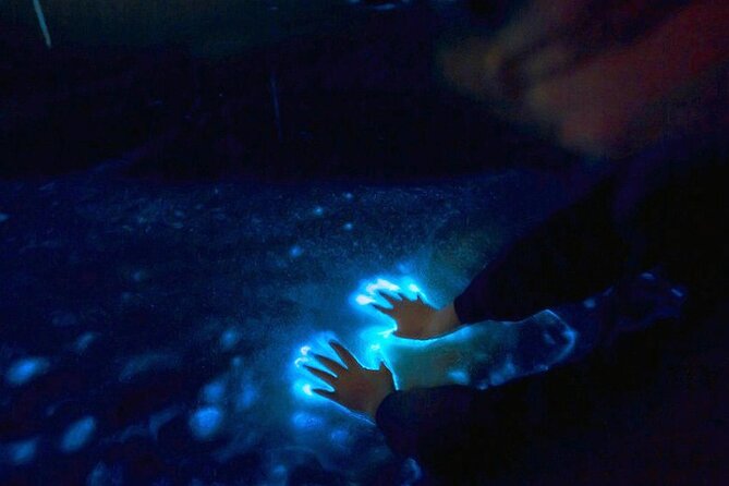 Private Sunset and Bioluminescence Tours in Cocoa Beach - The Beauty of Sunset and Bioluminescence