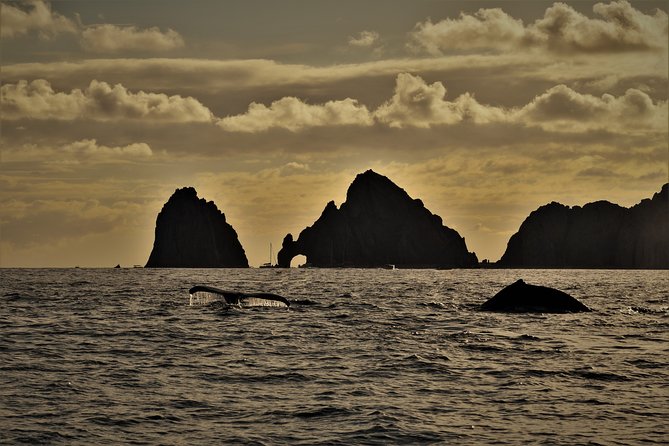 Private Sunset Cruise - Included Amenities