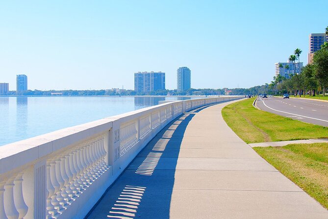Private Tampa City Tour by Custom Golf Cart - Inclusions and Accessibility