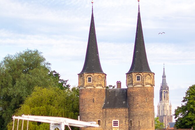 Private Tesla Taxi From Delft to Schiphol Amsterdam Airport - Operating Hours