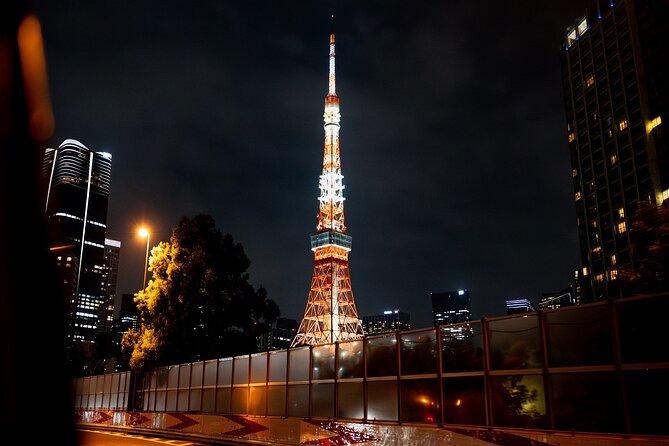 Private Tokyo Culture Tour by Car - Health and Safety Considerations