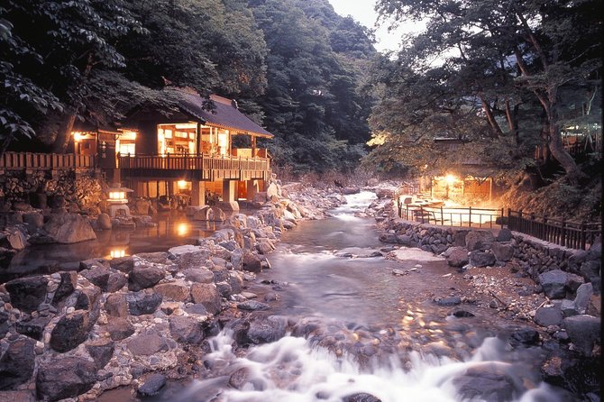 Private Tokyo Tour Guide Japanese Disco, Clubs. Dancing Any Where Translate. - Tour Details