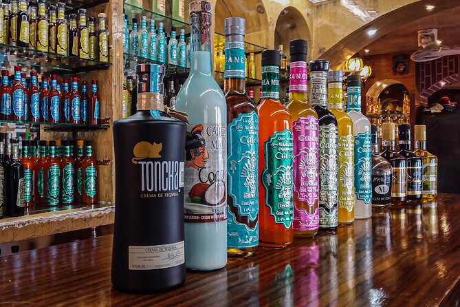 Private Tour at Puerto Morelos & Cenote From Cancun With Tequila - Itinerary Overview