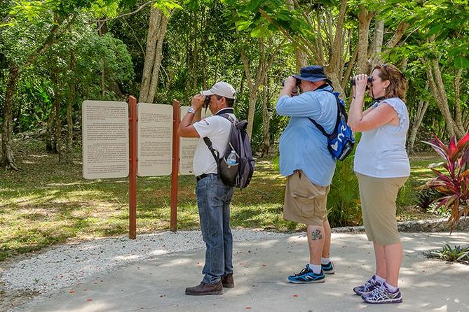 Private Tour: Birdwatching Playa Del Carmen - Inclusions and Amenities