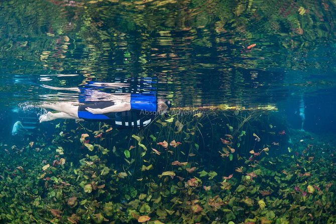 Private Tour Cenote Taak Bi Ha and Nicte Ha From Tulum Hotels - Pickup and Transportation