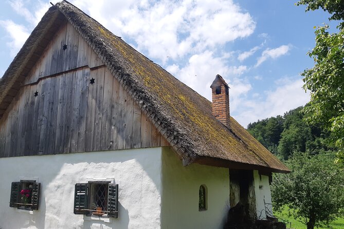 Private Tour in Kamnik - Mammoth - Farmhouse and Organic Farm - Accessibility and Participation