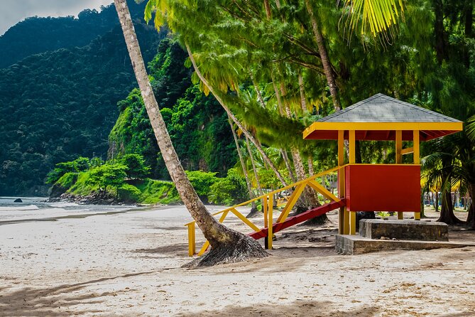 Private Tour Maracas Beach From Port of Spain - Accessibility Features