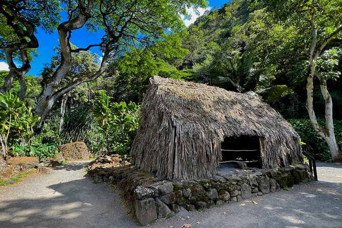 Private Tour Oahu-North Shore Ft. Waimea Falls-Admission Included - Tour Experience