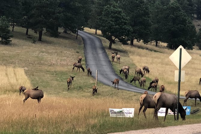 Private Tour of Red Rocks, Echo Lake, Mount Evans and Idaho Springs. - Pricing and Group Size Options