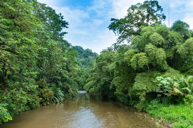 Private Tour Rainforest From Tobago - Important Information