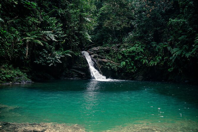 Private Tour Rio Seco Waterfall From Port of Spain - Guided Experience