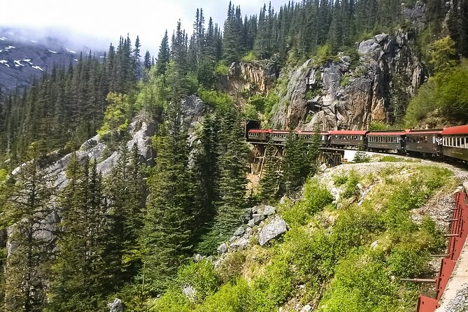 Private Tour Skagway City & Summit Review - Booking Information