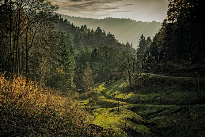 Private Tour to Baden-Baden, Black Forest and Strasbourg From Frankfurt - Explore Baden-Baden