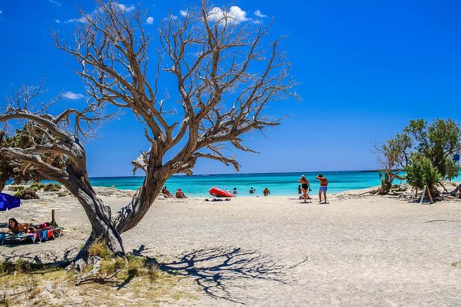 Private Tour to Elafonissi Beach From Heraklion - Participant Requirements