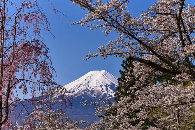 Private Tour to Mount Fuji With an English Driver From Tokyo - Tour Conditions and Requirements