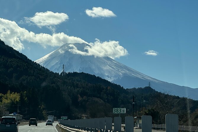 Private Tour to Mt Fuji and Hakone With English Speaking Driver - Pickup and Drop-off