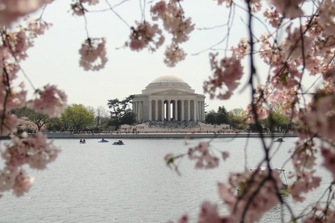 Private Tour to See the Monuments and Memorials in Washington DC - Private Transportation