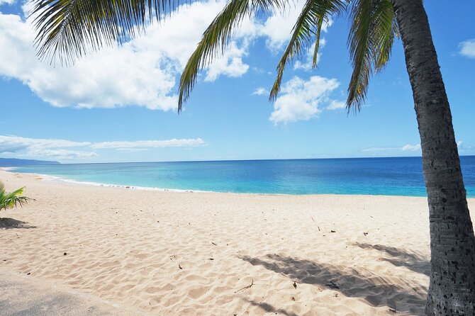 PRIVATE TOUR-Ultimate North Shore Experience - Pickup and Meeting Details