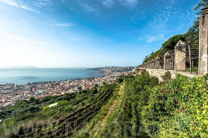 Private Tour: Vertical Naples Walking Tour - Urban Trekking - Sampling Local Specialties