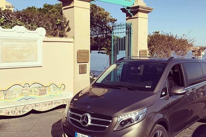Private Transfer by Minivan From Sorrento to Naples Airport, Train Station, Port - Accessibility Features