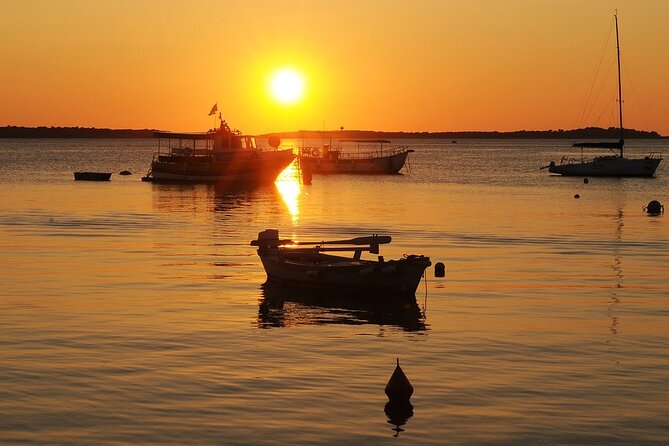 Private Transfer From Dubrovnik to Trogir With 2h of Sightseeing, Local Driver - Meet Your Local Driver