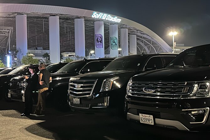 Private Transfer From LAX With Professional Chauffeur - Accessibility Options for Travelers