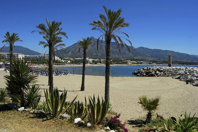 Private Transfer From Malaga Airport (AGP) to Rincón De La Victoria - Arrival and Transport