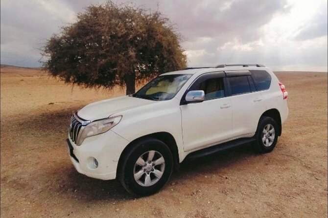 Private Transfer From Marrakech Airport to Hotels and Riads in Marrakech Medina - Customer Reviews and Ratings