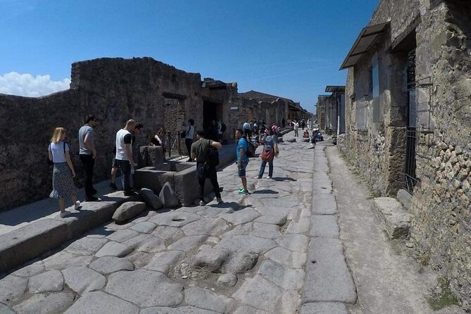 Private Transfer From Naples to Sorrento With Visit to Pompeii - Accessibility Information