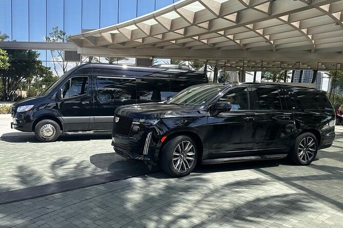 Private Transfer From or To Miami Intl Airport and Port of Miami - Accessibility and Participation