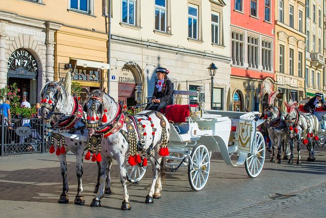 Private Transfer From Prague to Krakow: Door-To-Door, English-Speaking Driver - Sightseeing Stops Along the Route