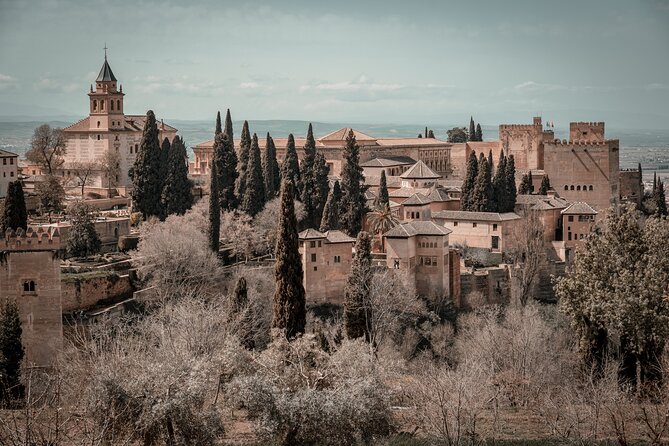 Private Transfer From/To Seville To/From Malaga & Stop Alhambra - Confirmation and Accessibility