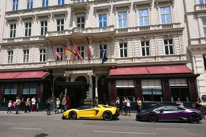 Private Transfer From Venice to Vienna or Vienna to Venice - Experience Highlights