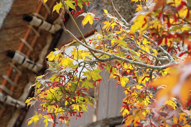 Private Transfer Kanazawa to Takayama Including Shirakawago - Accessibility and Additional Details