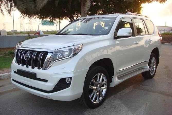 Private Transfer Kingston Airport to Hilton Rose Hall - Transportation Features