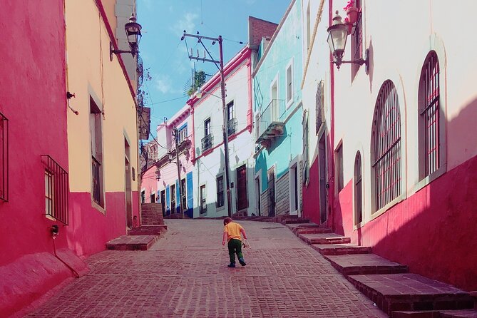 Private Transfer San Miguel De Allende-Guanajuato City, English Speaking Driver - Booking Process and Flexibility