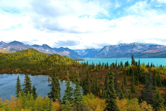 Private Transfer, Seward Cruise Ship to Anchorage - Reviews and Feedback